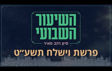 סיון רהב מאיר | פרשת וישלח – תשע"ט (י' כסליו- ט'ז כסליו, 18.11.18 – 24.11.18)