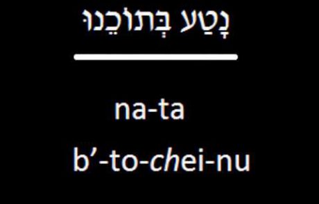 הברכה לאחר העלייה לתורה בנוסח אשכנזי (בתוספת כתוביות באנגלית)